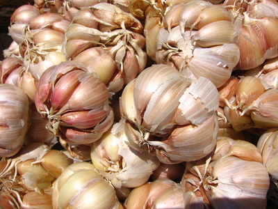 Supplements for Cholesterol